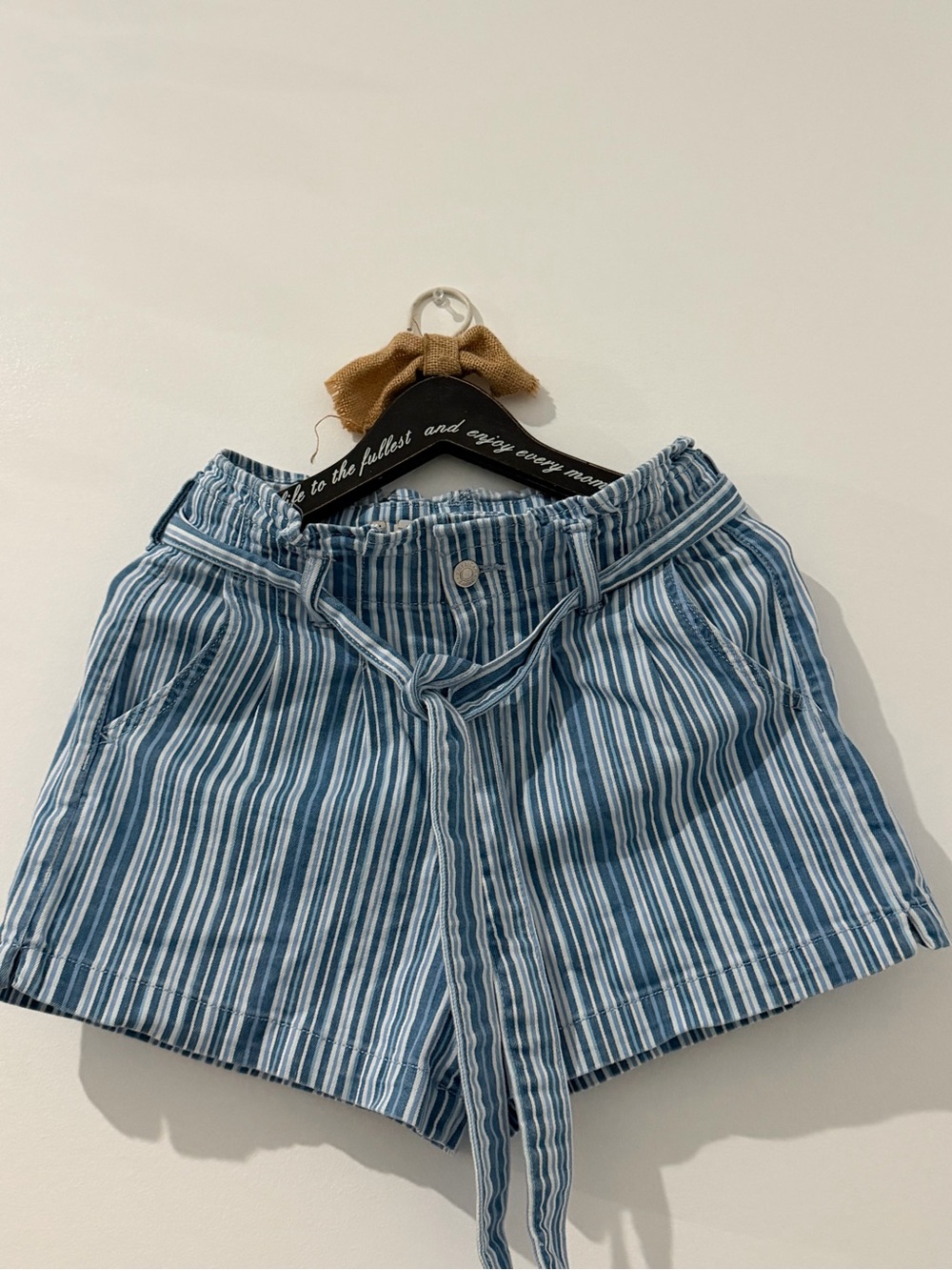 American Eagle Outfitters Blue and White Striped High Waist Shorts Mom short